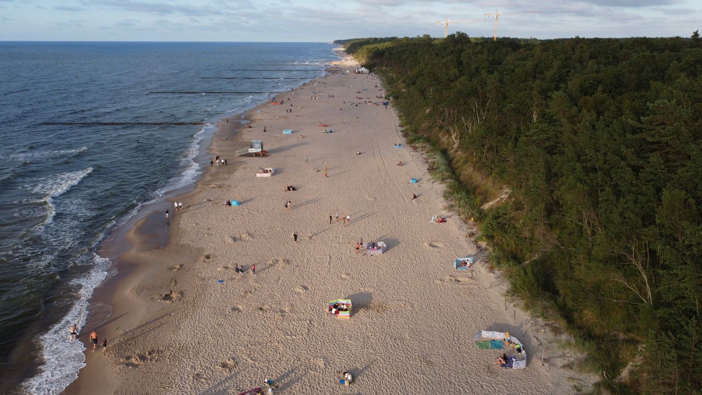 Piaszczysta plaża nad Bałtykiem przy lesie w Międzyzdrojach